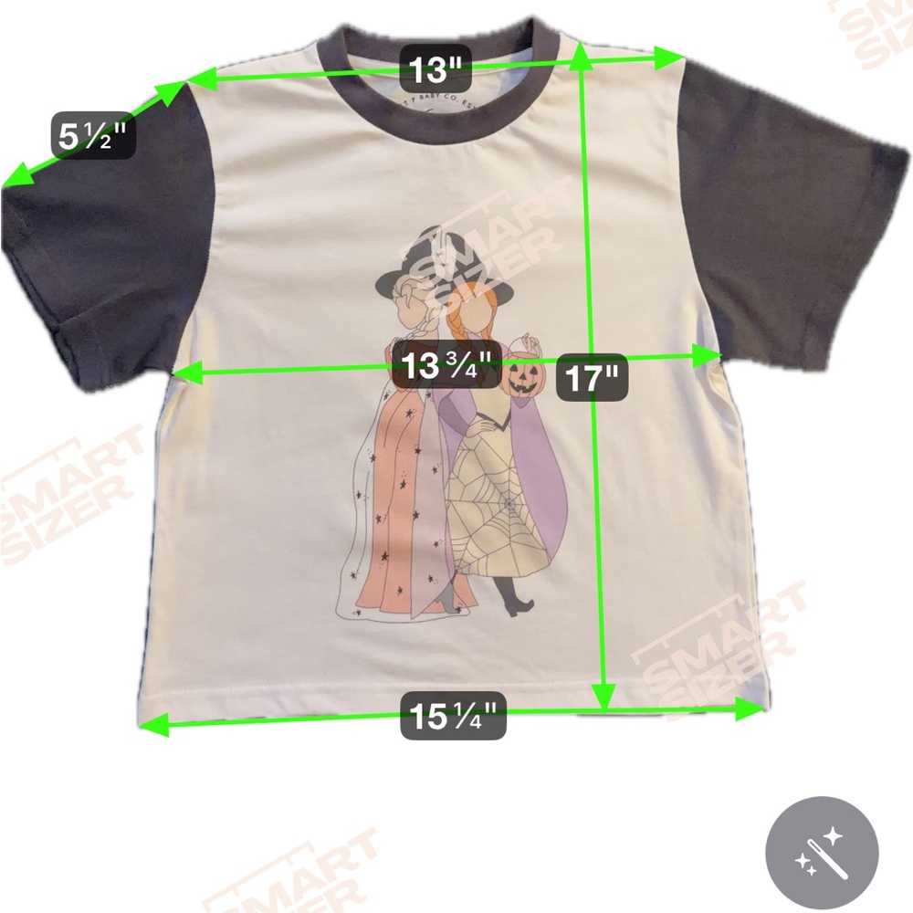 Sweet P Baby Co. Girls 5/6 Halloween Anna Elsa Frozen Princess Tee T Shirt Grey - Picture 6 of 6